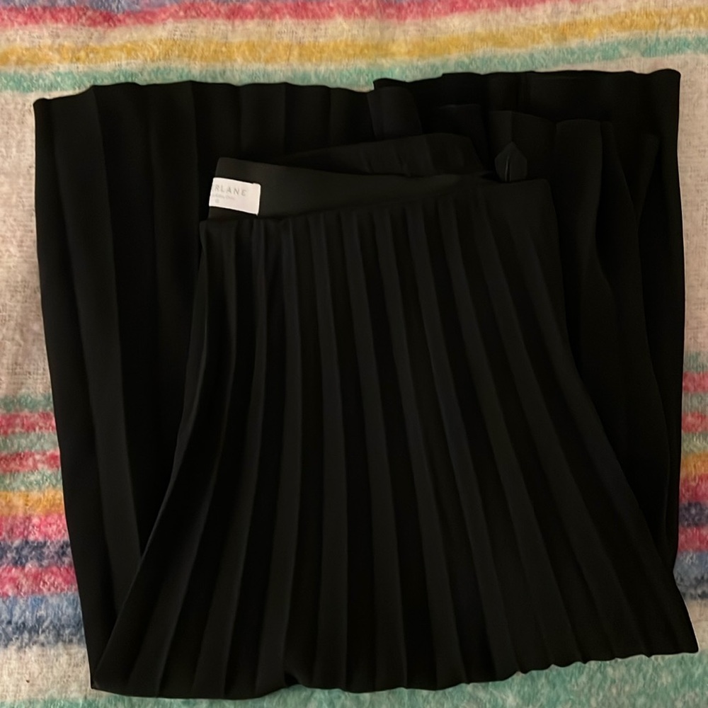 Everlane pleated skirt